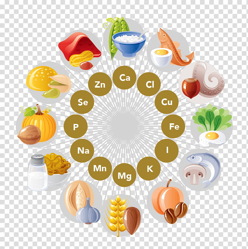 Dietary Supplement Circle, Nutrient, Mineral, Vitamin, Food, Zinc, Health, Tableware transparent background PNG clipart