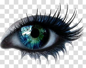 Swim In Your Eyes, blue eye transparent background PNG clipart