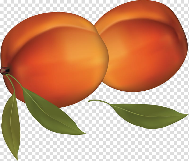 Trees, Peach, Apricot, Saturn Peach, Fruit, Sticker, Food, Natural Foods transparent background PNG clipart