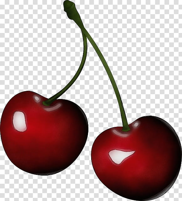 cherry fruit red plant food, Watercolor, Paint, Wet Ink, Tree, Natural Foods, Drupe, Heart transparent background PNG clipart