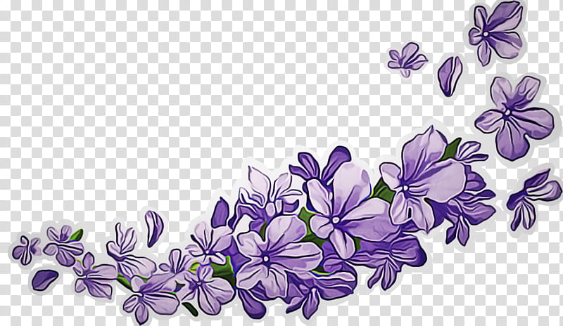 Lavender, Flower, Purple, Violet, Lilac, Plant, Flowering Plant, Bellflower transparent background PNG clipart