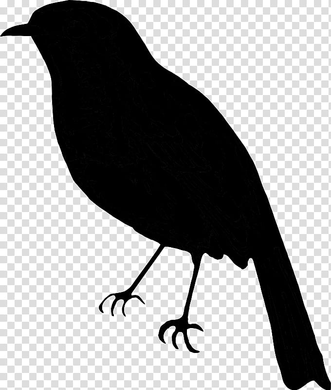 Bird Silhouette, American Crow, Common Raven, Beak, Blackbird, Crowlike Bird, New Caledonian Crow, Perching Bird transparent background PNG clipart