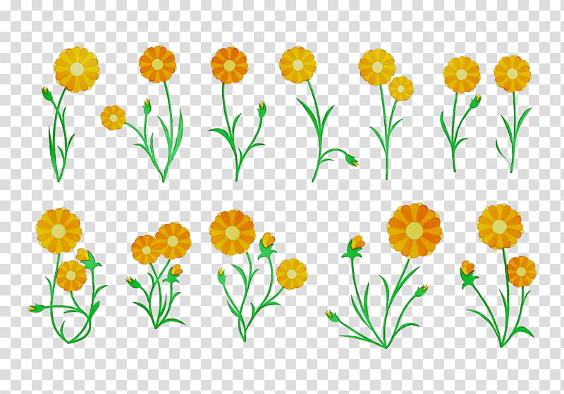 Flowers, Cut Flowers, Floral Design, Pot Marigold, Tulip, Plant Stem, Plants, Yellow transparent background PNG clipart