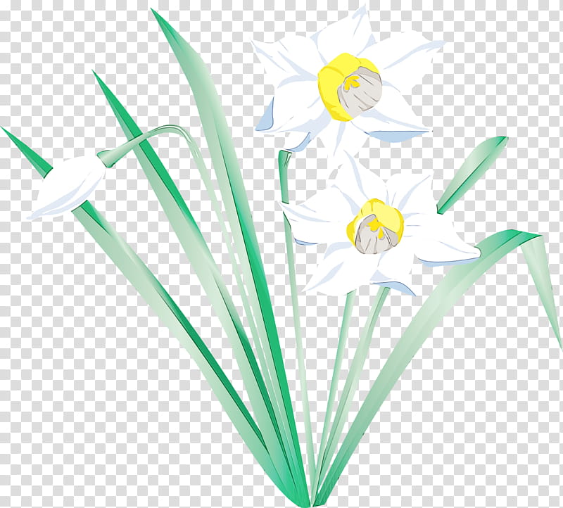 Floral Flower, Petal, Floral Design, Plants, Plant Stem, Leaf, Letter, Grass transparent background PNG clipart