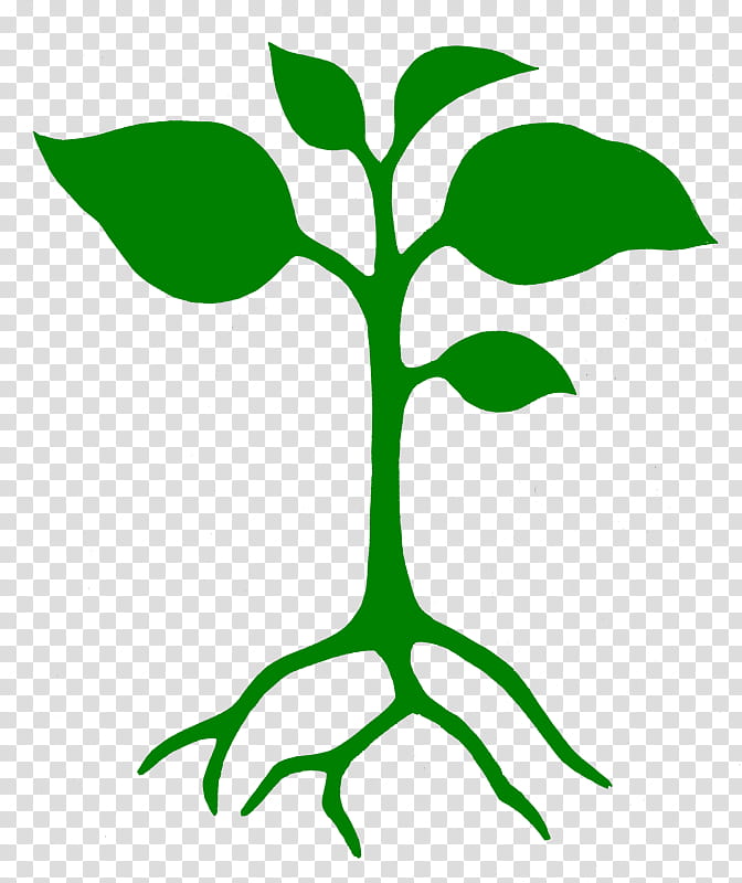 Green Leaf, Branch, Plants, Seedling, Plant Stem, Root, Tree, Fruit Tree transparent background PNG clipart