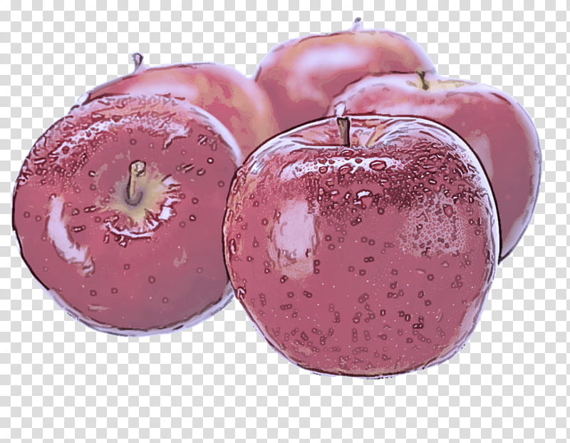 apple fruit food pink plant, Superfood, Food Spoilage, European Plum, Accessory Fruit transparent background PNG clipart