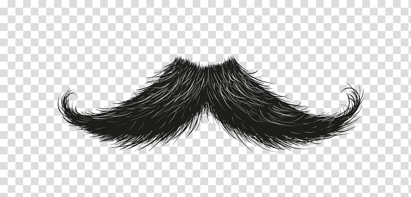 Moustache, Goatee, Beard, Hairstyle, Handlebar Moustache, Facial Hair, Drawing, Barber transparent background PNG clipart