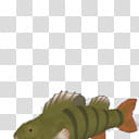 Spore creature European perch  transparent background PNG clipart