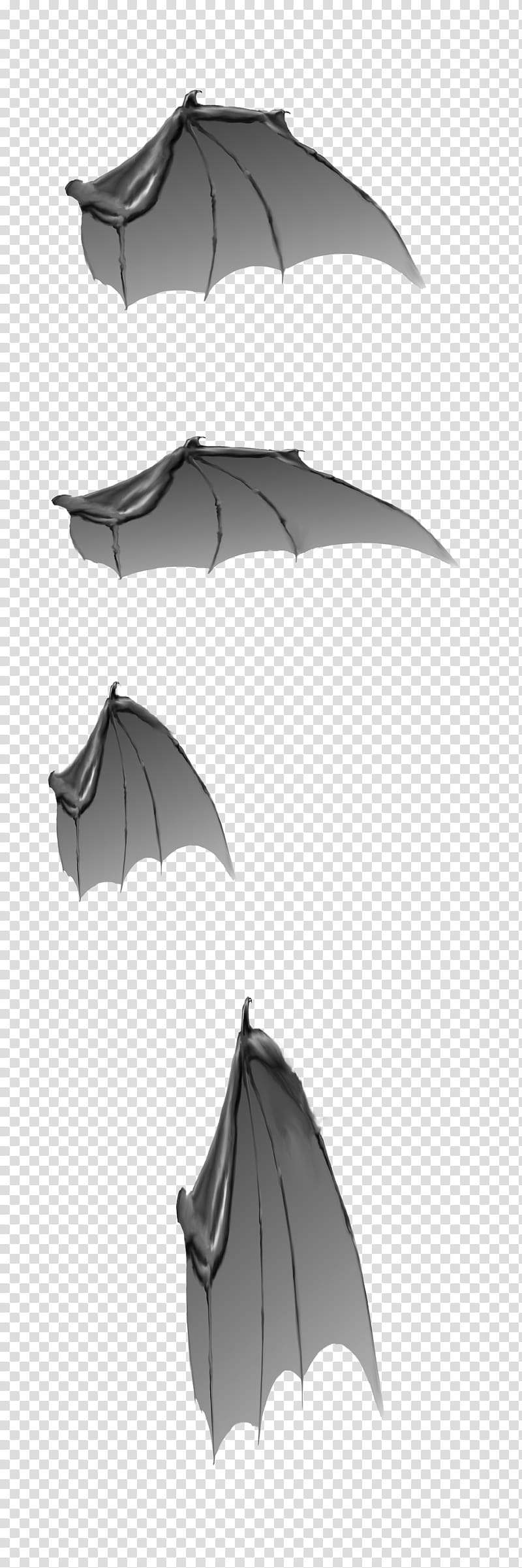 Dragonwing bases, gray bat wings transparent background PNG clipart