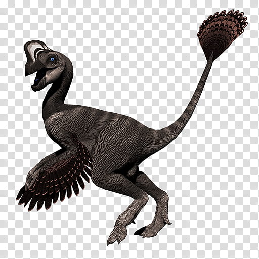 Primal Carnage Transparent Background Png Cliparts Free Download Hiclipart - feathered velociraptor roblox