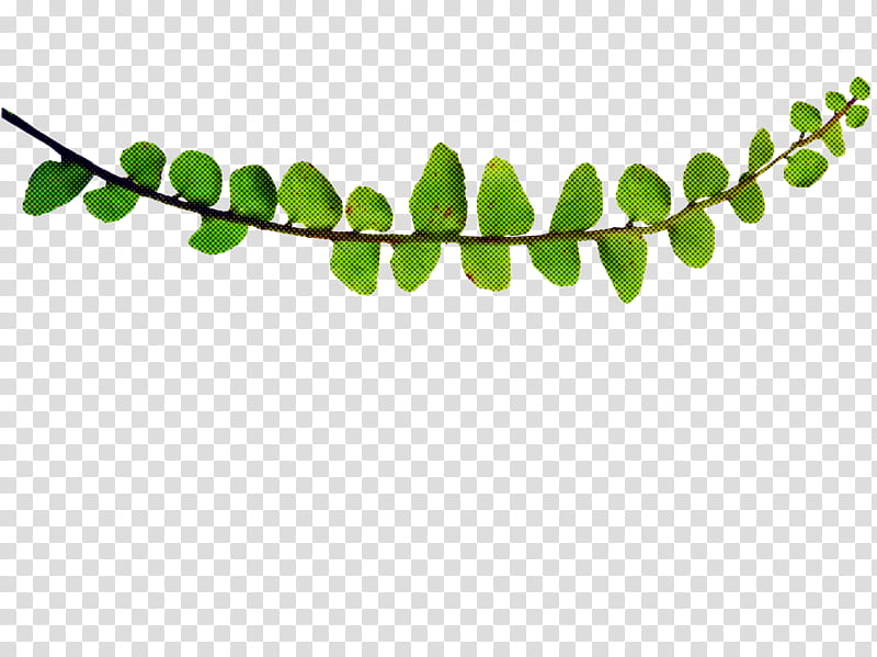 Green Leaf, Fern, Plants, , Desktop , Sedges, Vascular Plant, transparent background PNG clipart
