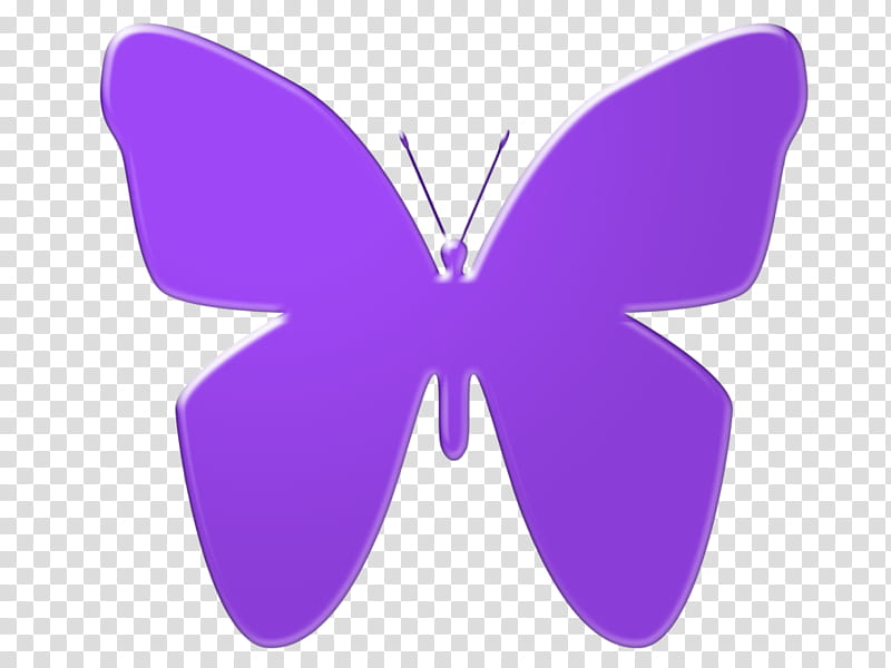 Butterfly Silhouette, Violet, Purple, Lilac, Blue, Lepidoptera, Insect, Moths And Butterflies transparent background PNG clipart