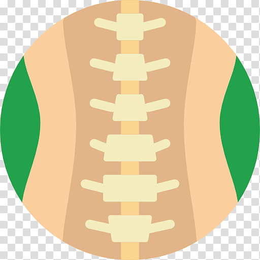 Medicine, Vertebral Column, Lumbar Vertebrae, Spinal Cord, Bone, Human Body, Orthopedic Surgery, Minimally Invasive Spine Surgery transparent background PNG clipart