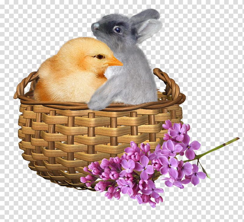 gray rabbit hugging yellow chick on brown basket illustration transparent background PNG clipart