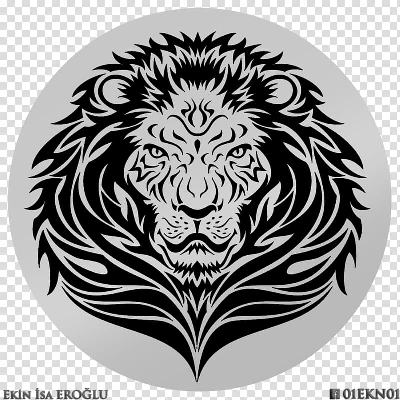 Lion Timi LOGO transparent background PNG clipart