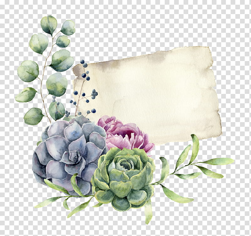 Purple Watercolor Flower, , Watercolor Painting, Succulent Plant, Drawing, Royaltyfree, Art, Cactus transparent background PNG clipart