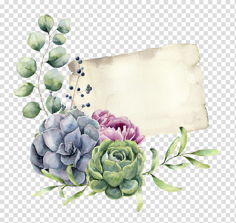 Transparent flower Stock Photos, Royalty Free Transparent flower Images