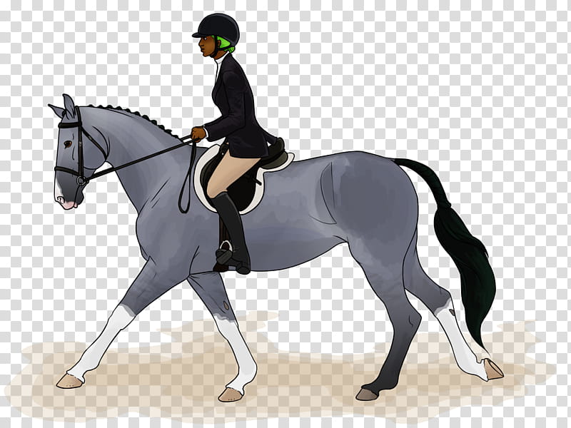 Stallion Horse, Dressage, Rein, Mustang, Equestrian, Saddle, Bridle, Halter transparent background PNG clipart