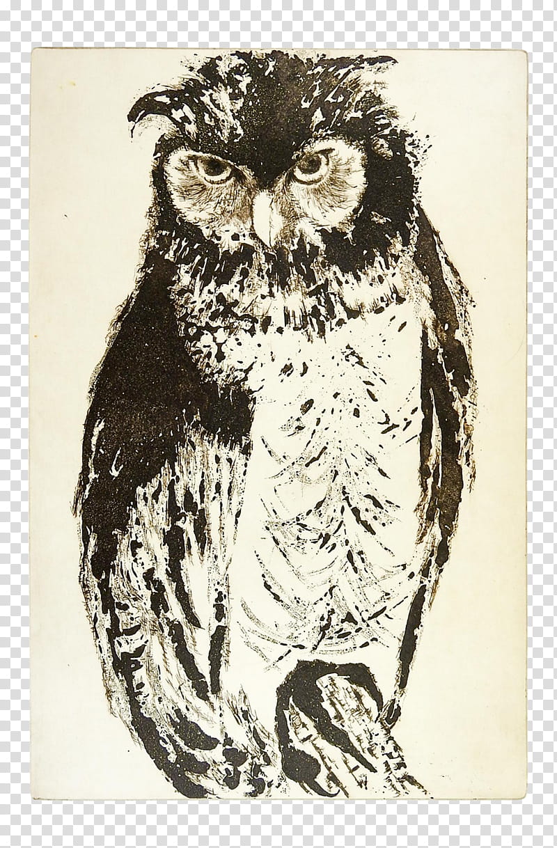 Owl, Etching, Drawing, Bird, Printmaking, Linocut, Drypoint, Ink transparent background PNG clipart