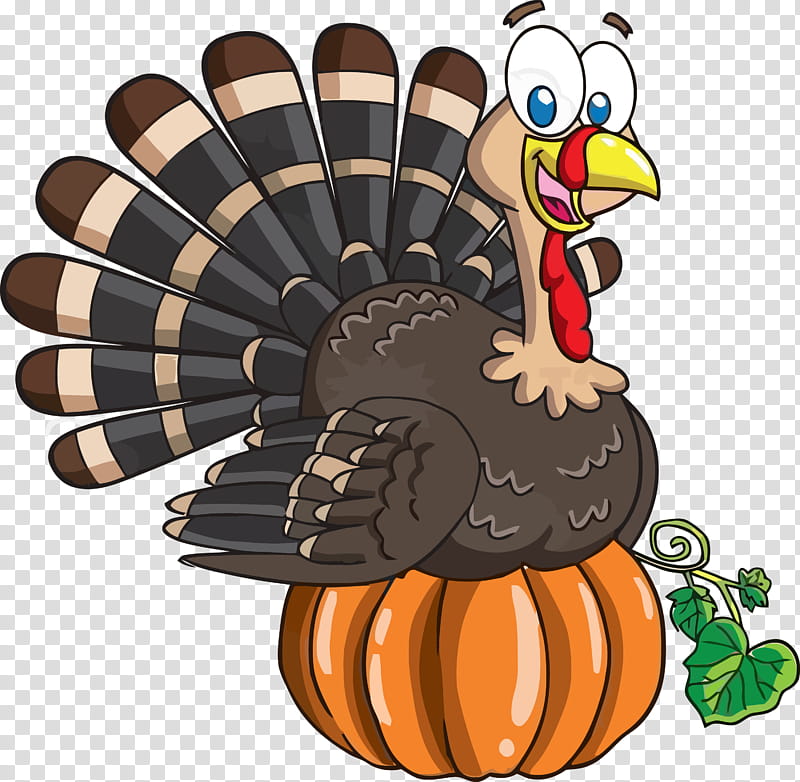 thanksgiving turkey, Thanksgiving Turkey , Cartoon, Bird, Chicken, Rooster transparent background PNG clipart