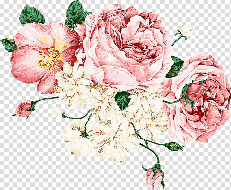 Garden roses, Flower, Cut Flowers, Pink, Plant, Flowering Plant, Petal, Rose Family transparent background PNG clipart