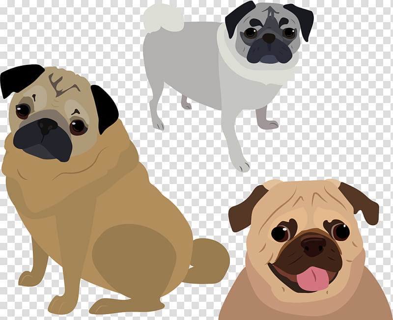 Cat And Dog, Pug, Puppy, Companion Dog, Toy Dog, Pugs In Costumes, Pet, Snout transparent background PNG clipart