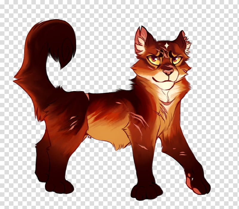 Cat And Dog, Whiskers, RED Fox, Fur, Snout, Character, Fox News, Cartoon transparent background PNG clipart