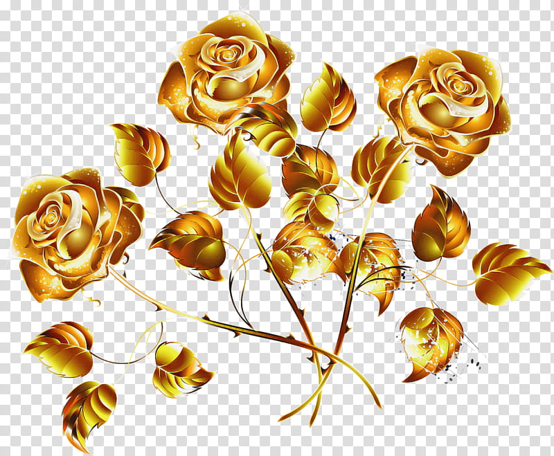 Garden roses, Yellow, Flower, Plant, Rose Family, Petal, Rose Order, Bud transparent background PNG clipart