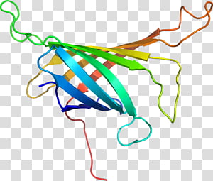 Line, Point, Area transparent background PNG clipart thumbnail