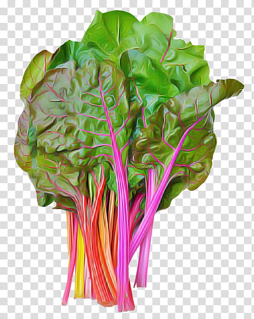 leaf vegetable chard vegetable plant leaf, Flower, Red Leaf Lettuce, Plant Stem transparent background PNG clipart