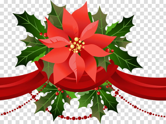 Christmas Poinsettia, Garland, Christmas Day, Christmas Decoration, Christmas Tree, Joulukukka, Holly, Red transparent background PNG clipart