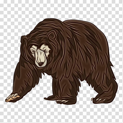 grizzly bear bear brown bear animal figure sloth bear, Watercolor, Paint, Wet Ink, Fictional Character, American Black Bear transparent background PNG clipart