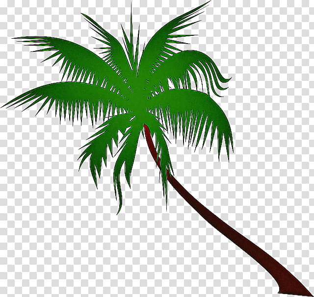Coconut Tree, Los Angeles, Open House, Dypsis Decaryi, Palm Trees, California, Green, Leaf transparent background PNG clipart