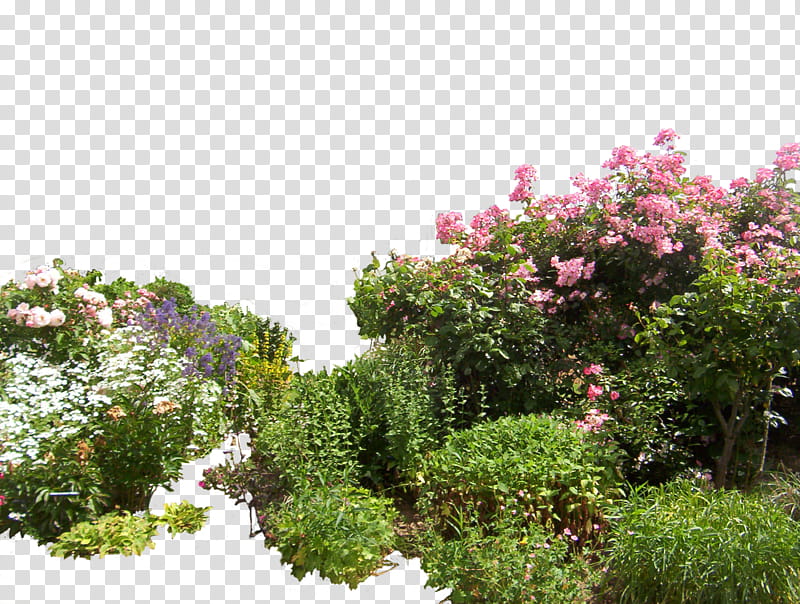 Flowered garden , flower garden art transparent background PNG clipart