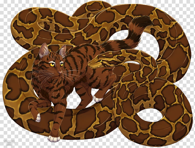 Drawing Of Family, Boa Constrictor, Rattlesnake, Kingsnakes, Reptile, Cat, Vipers, Corn Snake transparent background PNG clipart