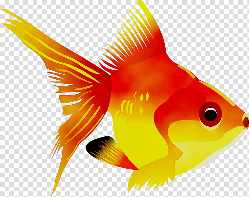 Coral Reef, Coloring Book, Goldfish, Coloring Book Sea Animals, Drawing, Android, Feeder Fish, Page transparent background PNG clipart