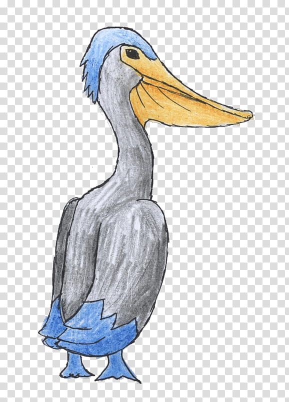 Duck, Pelican, Bird, Beak, Flightless Bird, Seabird, Brown Pelican, Pelecaniformes transparent background PNG clipart