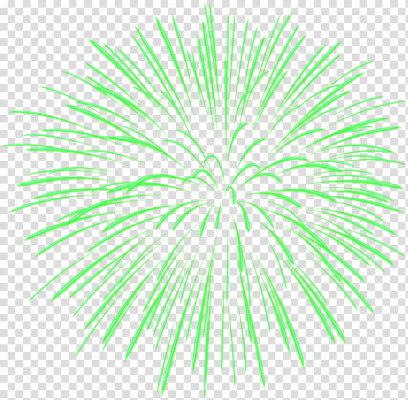 Fireworks, Adobe Fireworks, Green, Line, Symmetry, Plant, Circle transparent background PNG clipart