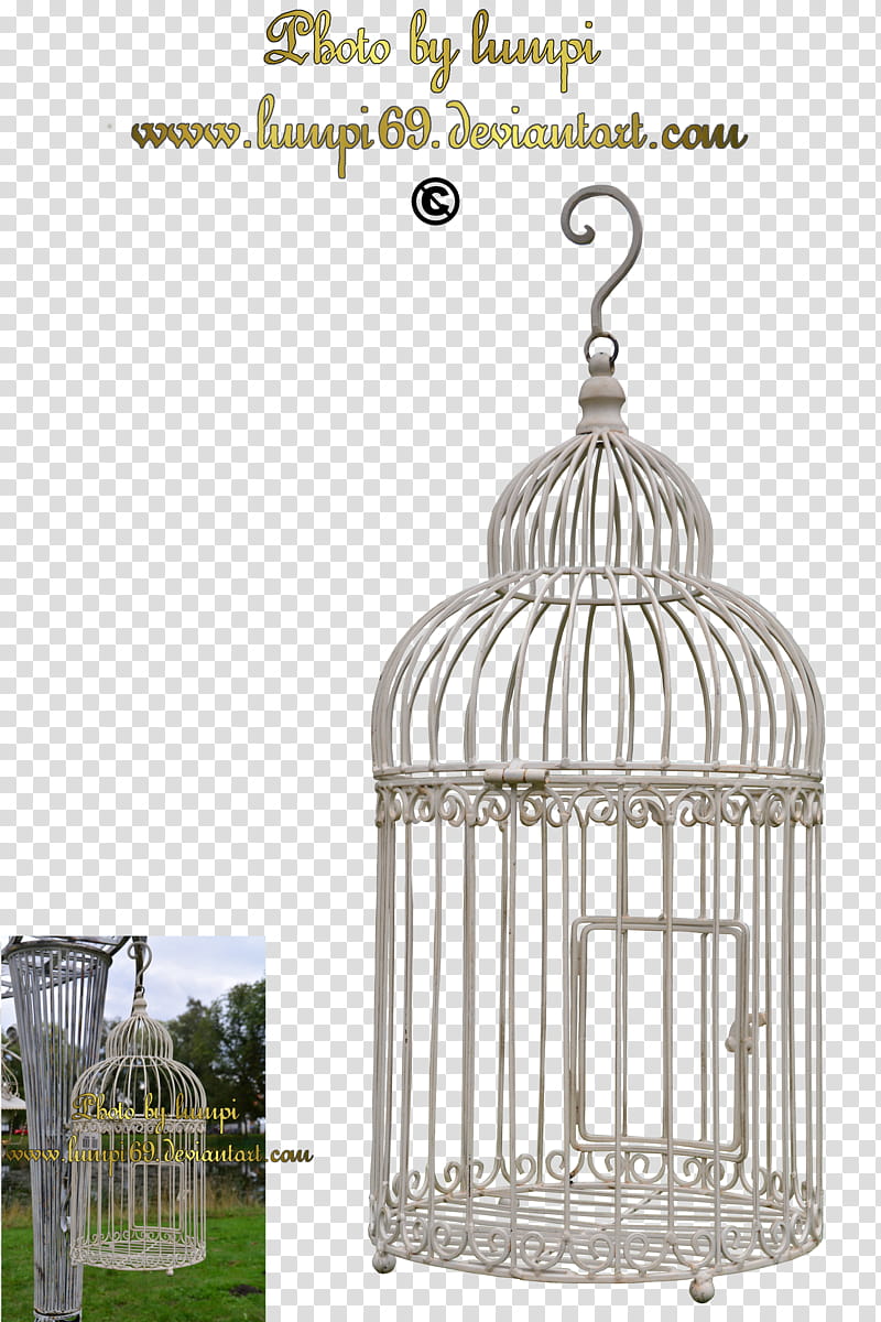 Birdcage , empty gray metal hanging birdcage screenshot transparent background PNG clipart