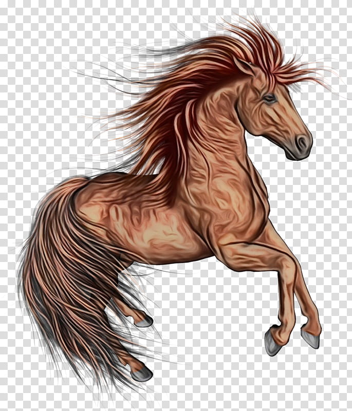 horse mane mustang horse sorrel liver, Watercolor, Paint, Wet Ink, Stallion, Drawing, Fictional Character, Mare transparent background PNG clipart