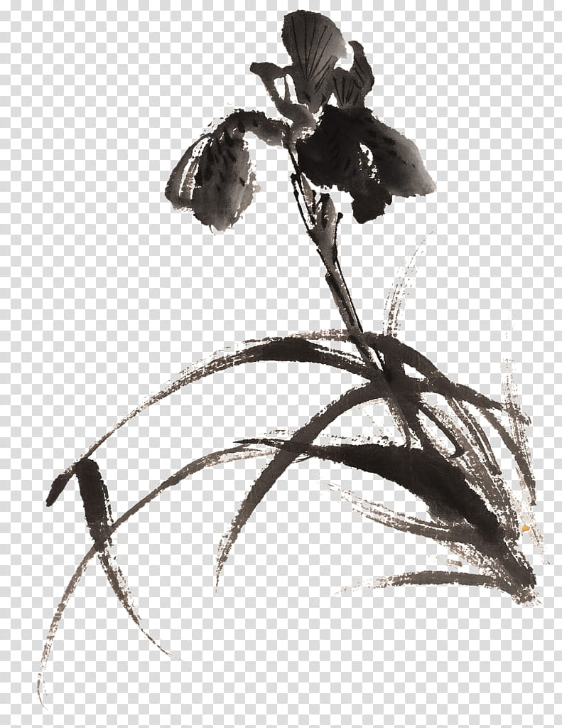 Ink Brush, Ink Wash Painting, Chinese Painting, Orchids, Chinoiserie, Freehand Brush Work, Shan Shui, Plant transparent background PNG clipart