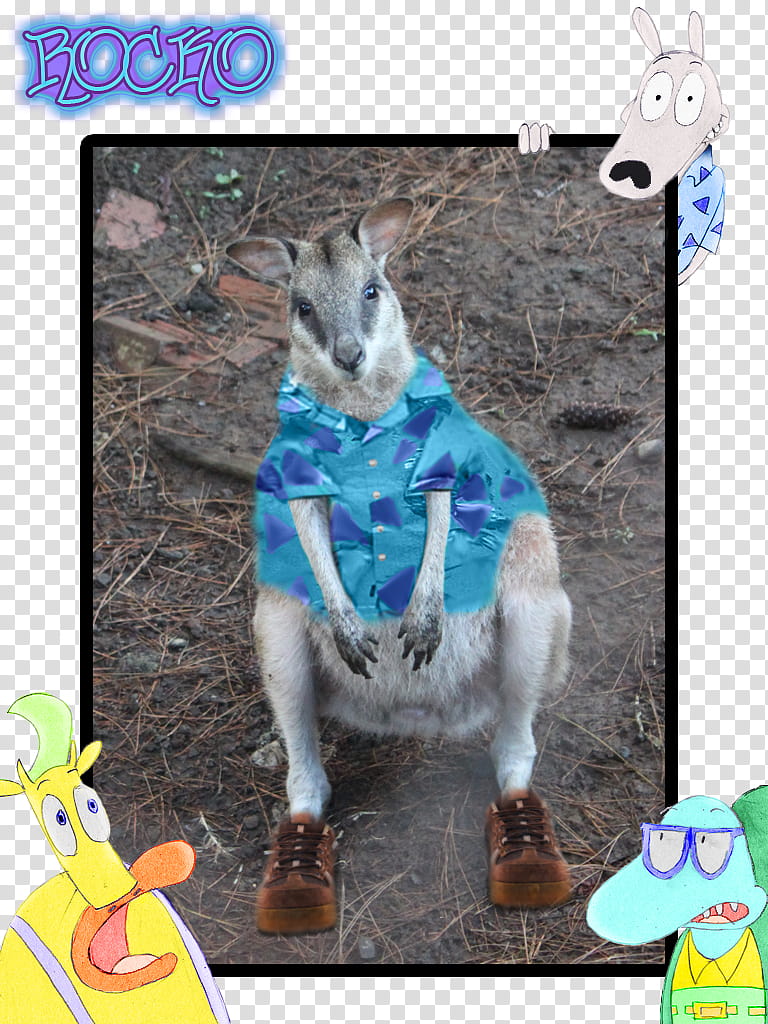 Real Life Rocko transparent background PNG clipart