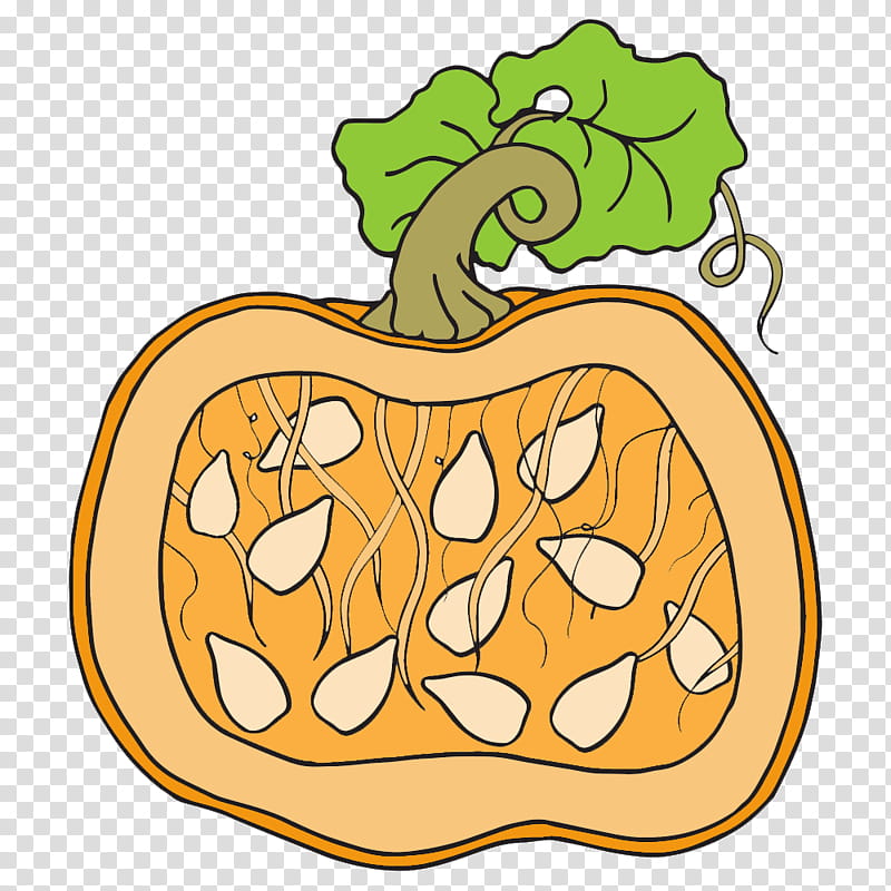 Fruit Tree, Pumpkin, Pumpkin Seed, Pumpkin Pie, Squash, Document, Diagram, Food transparent background PNG clipart