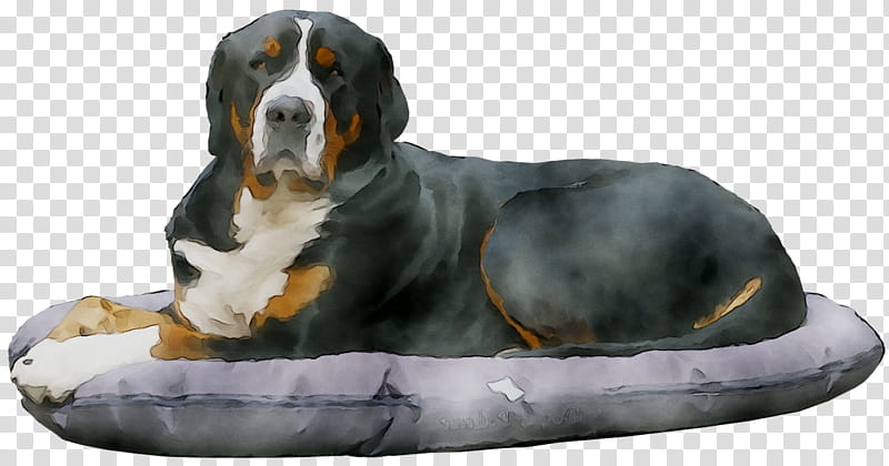Mountain, Bernese Mountain Dog, Greater Swiss Mountain Dog, Entlebucher Mountain Dog, Snout, Breed, Giant Dog Breed, Companion Dog transparent background PNG clipart