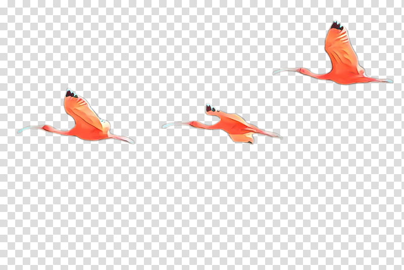 Orange, Red, Goldfish, Bird, Tail, Feeder Fish, Ibis, Flamingo transparent background PNG clipart
