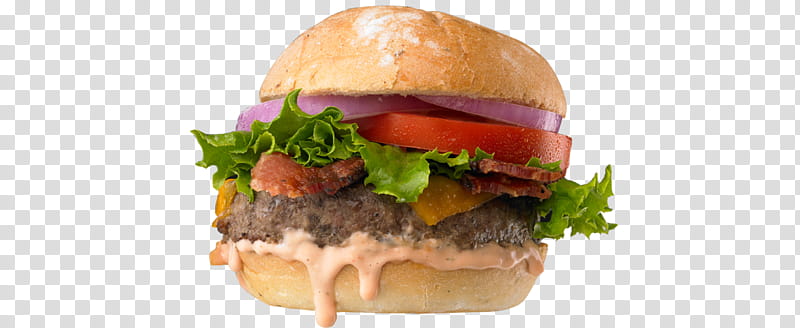 Junk Food, Slider, Hamburger, Cheeseburger, Veggie Burger, Buffalo Burger, French Fries, Salmon Burger transparent background PNG clipart