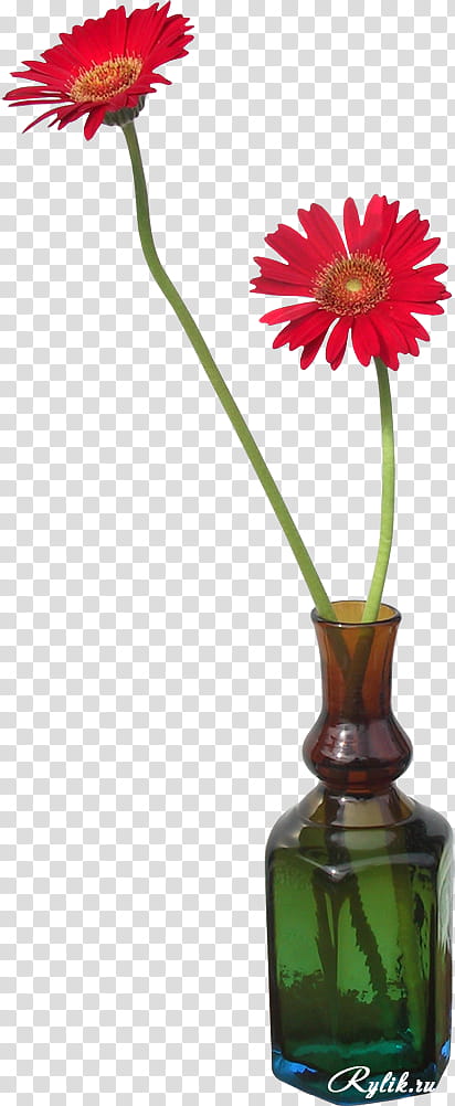 Flowers, Transvaal Daisy, Vase, Floristry, Flower Bouquet, Cut Flowers, Red, Tulip transparent background PNG clipart