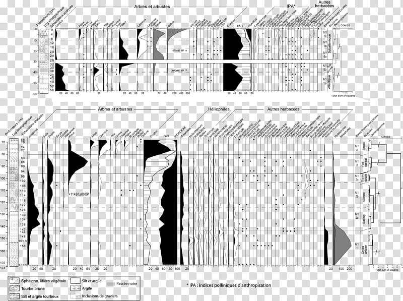 Building, Black White M, Architecture, Pollen, Facade, Paleoecology, Quaternary, France transparent background PNG clipart