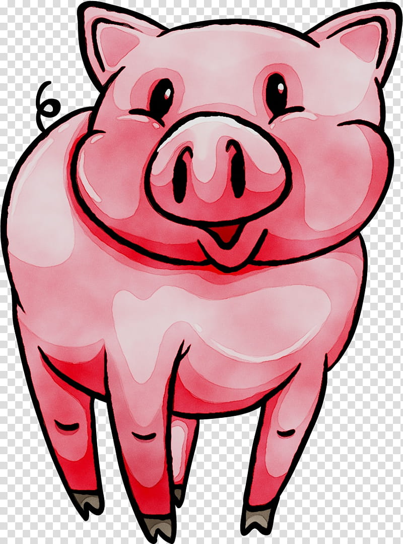 Pig, Drawing, Entelodont, Pink, Cartoon, Snout, Suidae, Smile transparent background PNG clipart