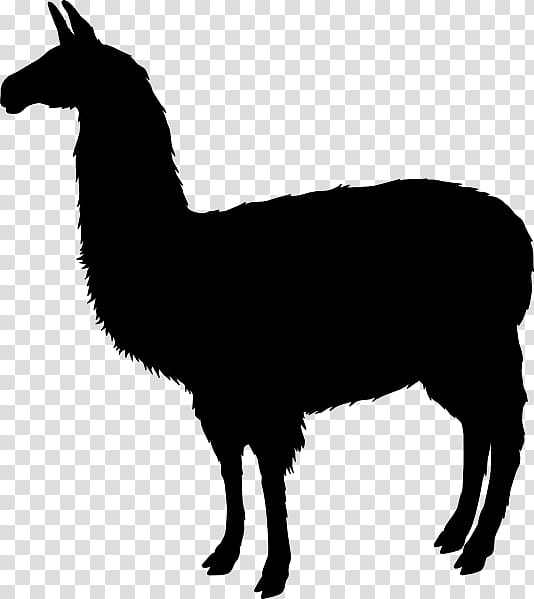 Llama, Tshirt, Camelid, Alpaca, Live, Guanaco, Silhouette, Wildlife transparent background PNG clipart